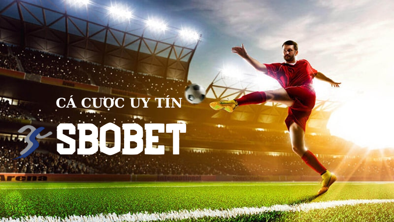 Giới thiệu tổng quan về sảnh SBOBET King88